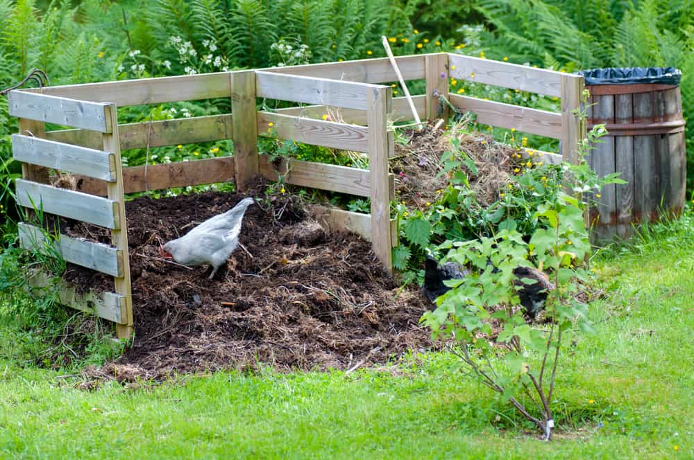 Compost PIles